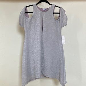 Silver mini dress